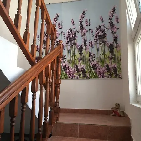 Apartment Dolmar